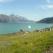 View on Eric's Fjord from Qassiarsuk, South Greenland