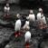 Puffins on the cliffs, Iceland