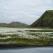 Arctic cotton field, Landmannalaugar, Iceland