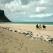 Horse back riding on the beach in Iceland's West Fjords