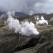 Nesjavellir geothermal area Iceland