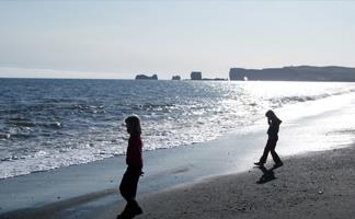 Iceland - beach on the South Coast