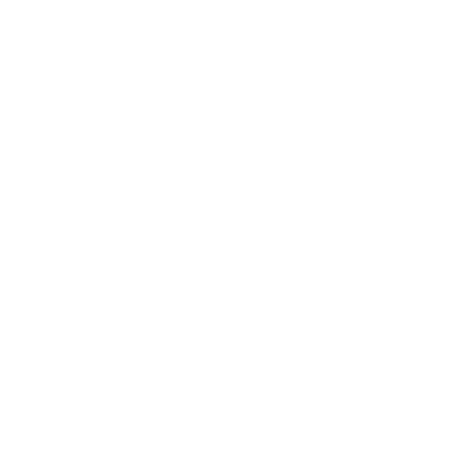 WOW Air